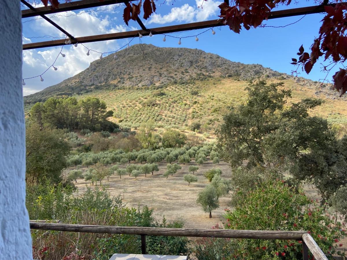 Posada Nina Margarita Priego de Córdoba Dış mekan fotoğraf