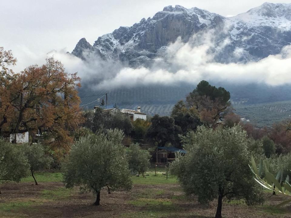 Posada Nina Margarita Priego de Córdoba Dış mekan fotoğraf