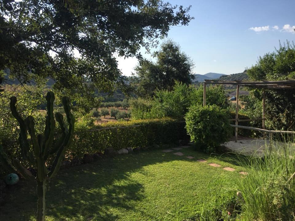 Posada Nina Margarita Priego de Córdoba Dış mekan fotoğraf