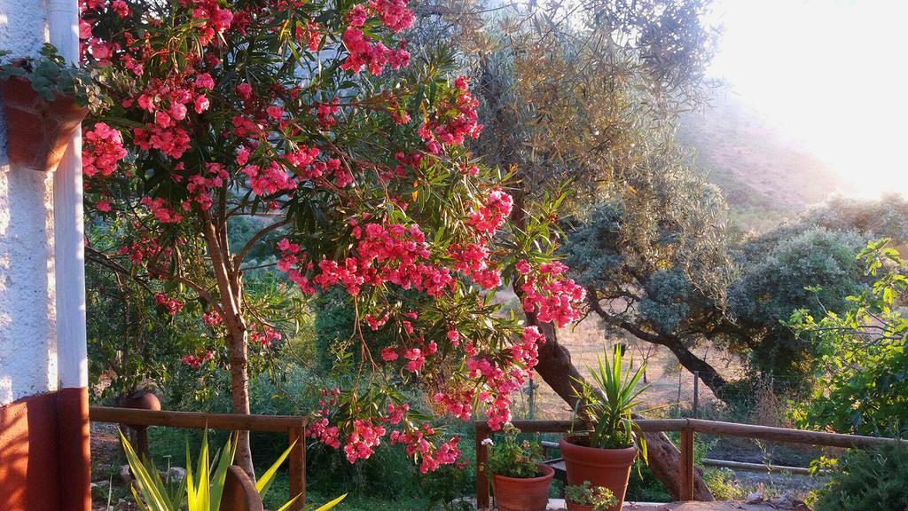 Posada Nina Margarita Priego de Córdoba Dış mekan fotoğraf