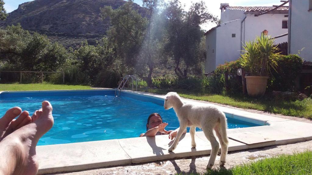 Posada Nina Margarita Priego de Córdoba Dış mekan fotoğraf