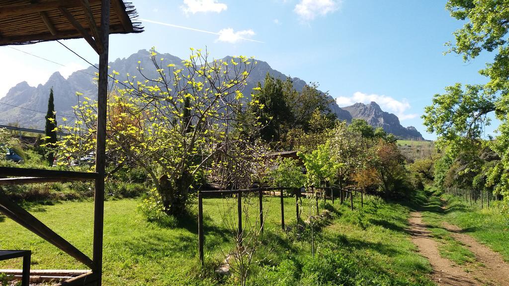 Posada Nina Margarita Priego de Córdoba Dış mekan fotoğraf